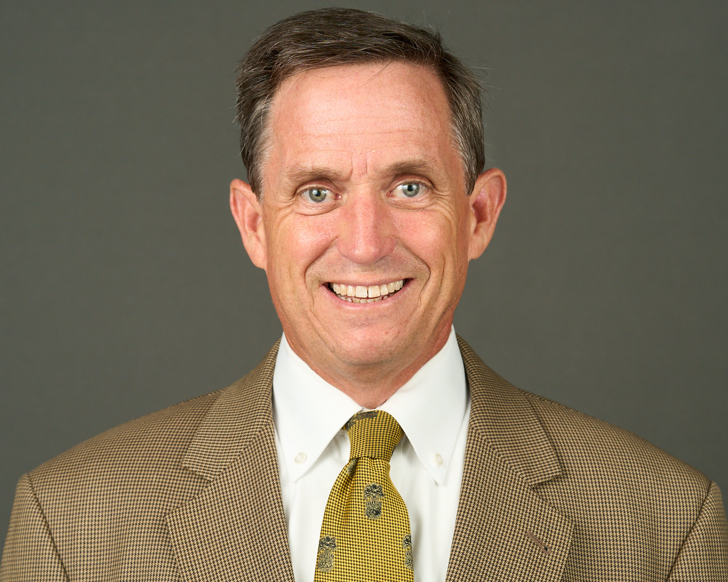 Mark Brandenburg